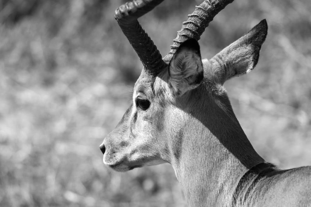 Expectation Hike Africa sightseeing experience