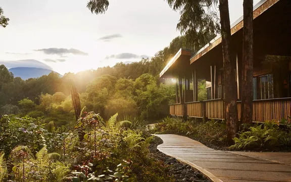 One and Only Gorilla's Nest luxury treehouse suites in Rwanda